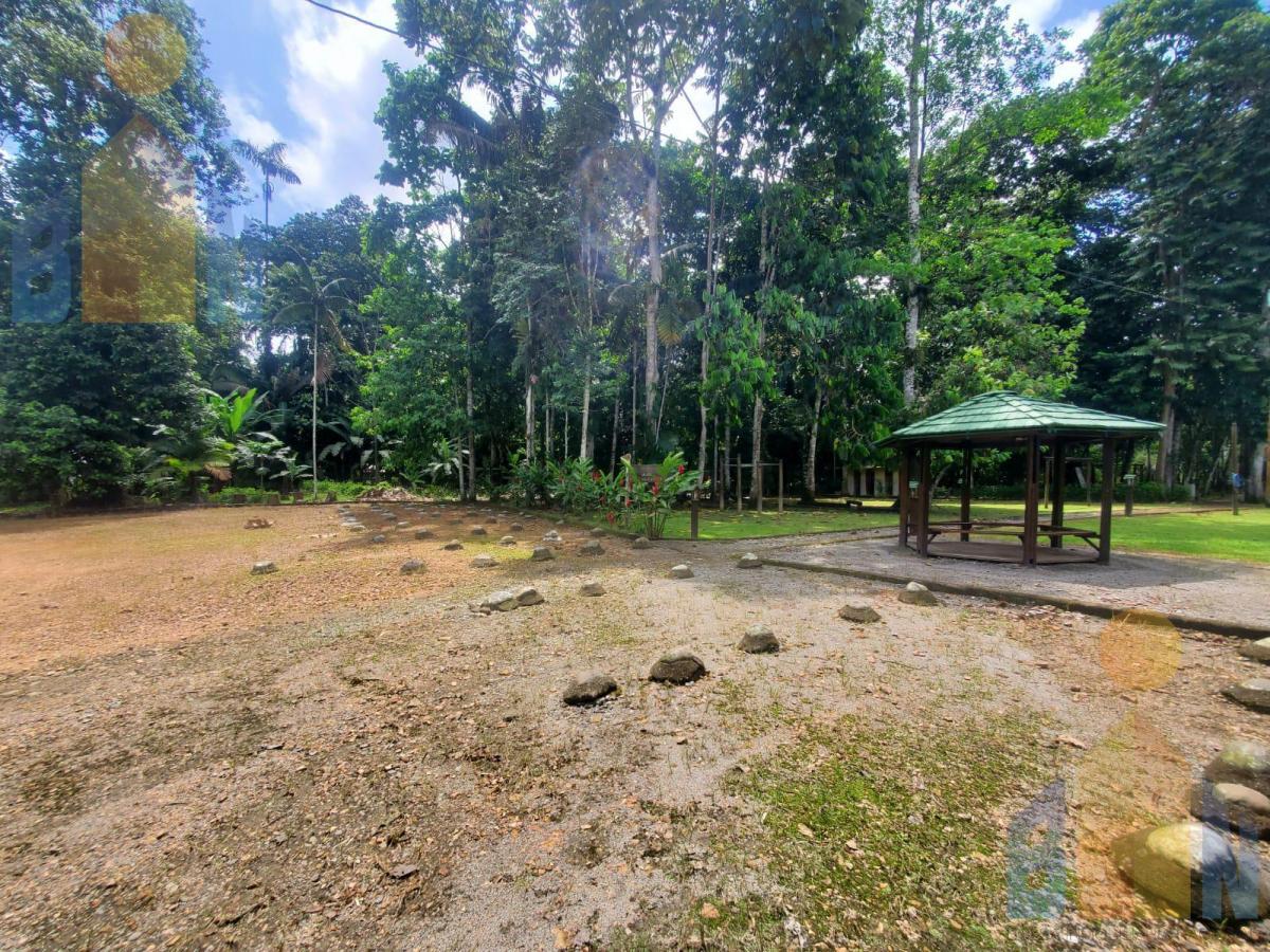Terreno en Venta Sector Puerto Quito Kilometro 135 Vía a Los Bancos — imagen 7