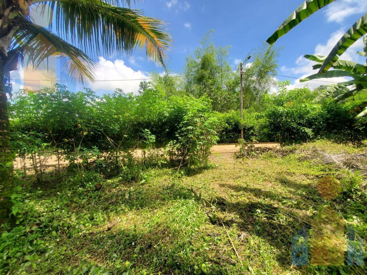 Terreno en Venta Sector Puerto Quito Kilometro 135 Vía a Los Bancos — imagen 6