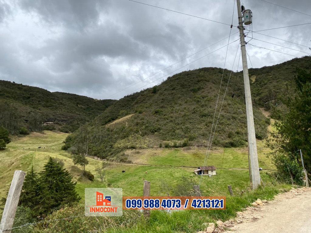 Seis Has de Venta Sector Gulcay (San Agustin - Cumbe), Azuay — imagen 8