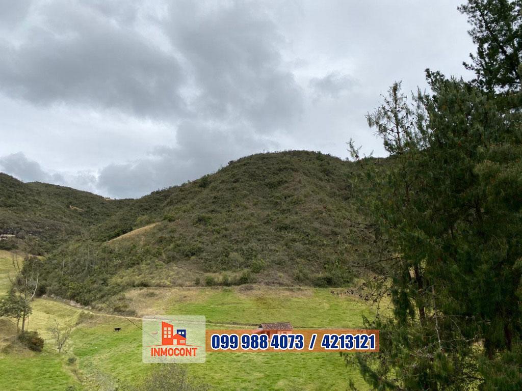 Seis Has de Venta Sector Gulcay (San Agustin - Cumbe), Azuay — imagen 7