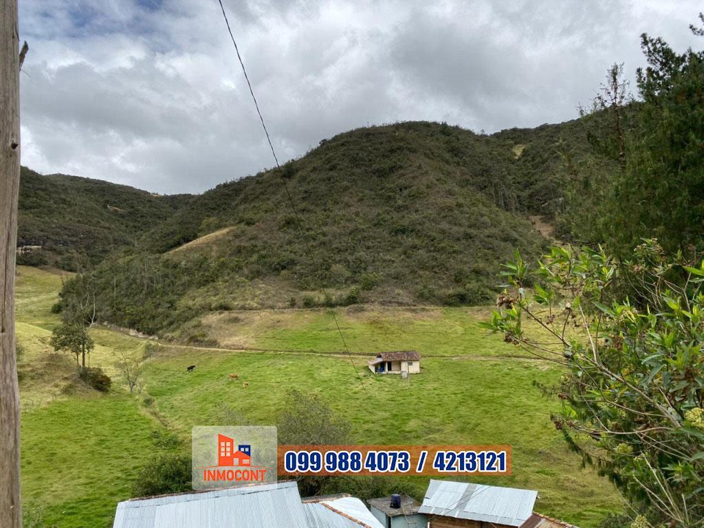 Seis Has de Venta Sector Gulcay (San Agustin - Cumbe), Azuay — imagen 6