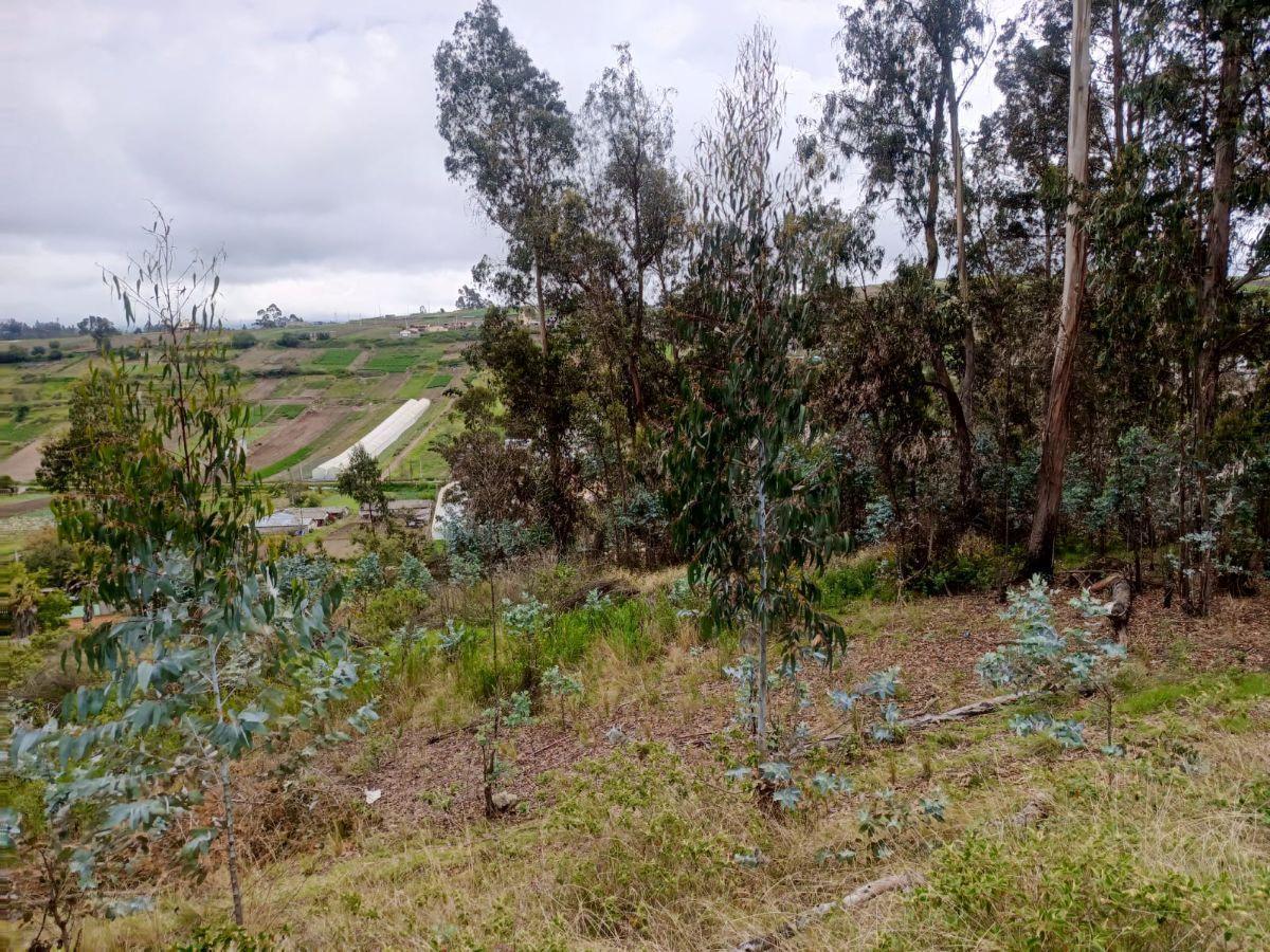 Terreno en Venta en Samanga. Ambato, Tungurahua — imagen 4