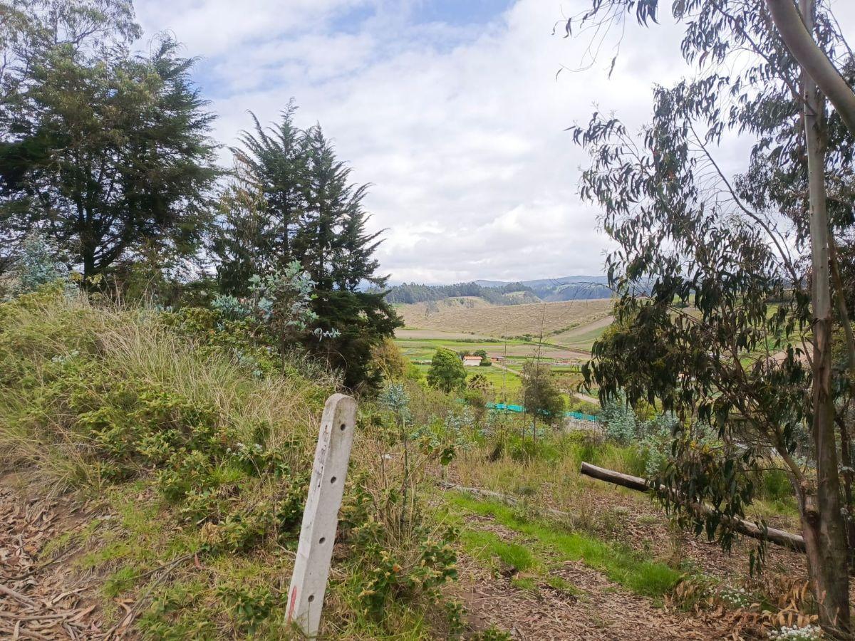 Terreno en Venta en Samanga. Ambato, Tungurahua — imagen 3