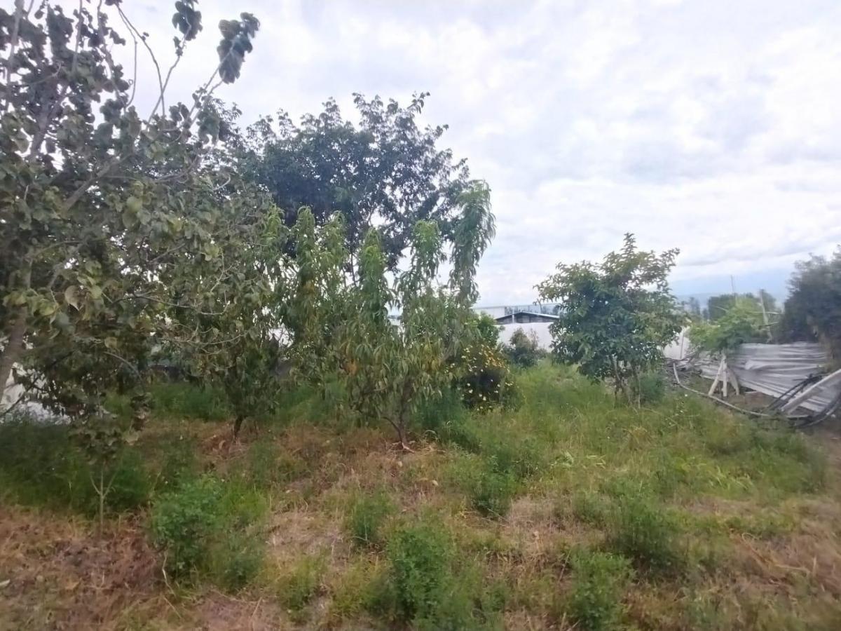 Jv Sector Yaruqui. Terreno en Venta 2.900 m Planos — imagen 10