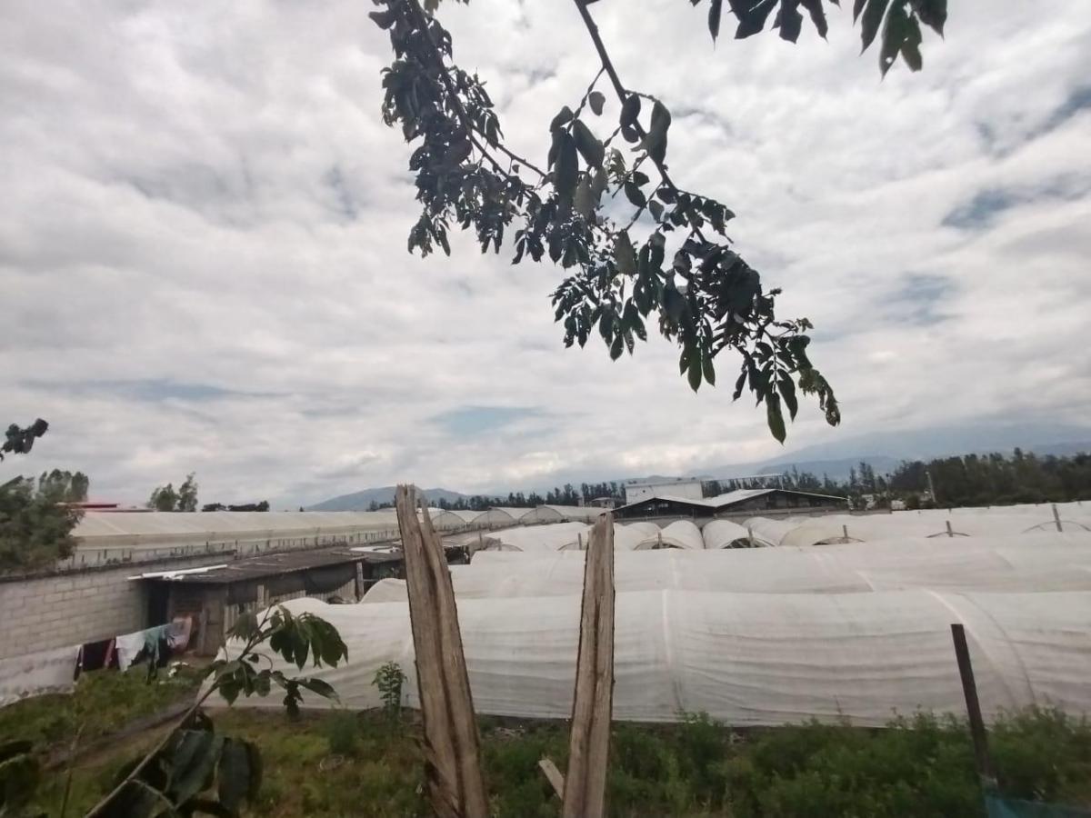 Jv Sector Yaruqui. Terreno en Venta 2.900 m Planos — imagen 7