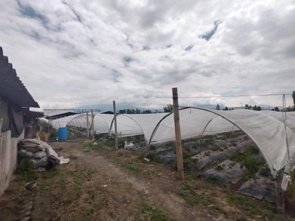 Jv Sector Yaruqui. Terreno en Venta 2.900 m Planos — imagen 6