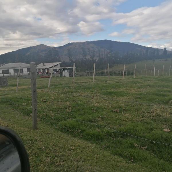 Venta Terreno Sangolquí 10 Hectáreas a $35 Metro — imagen 10