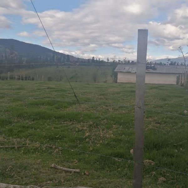 Venta Terreno Sangolquí 10 Hectáreas a $35 Metro — imagen 9