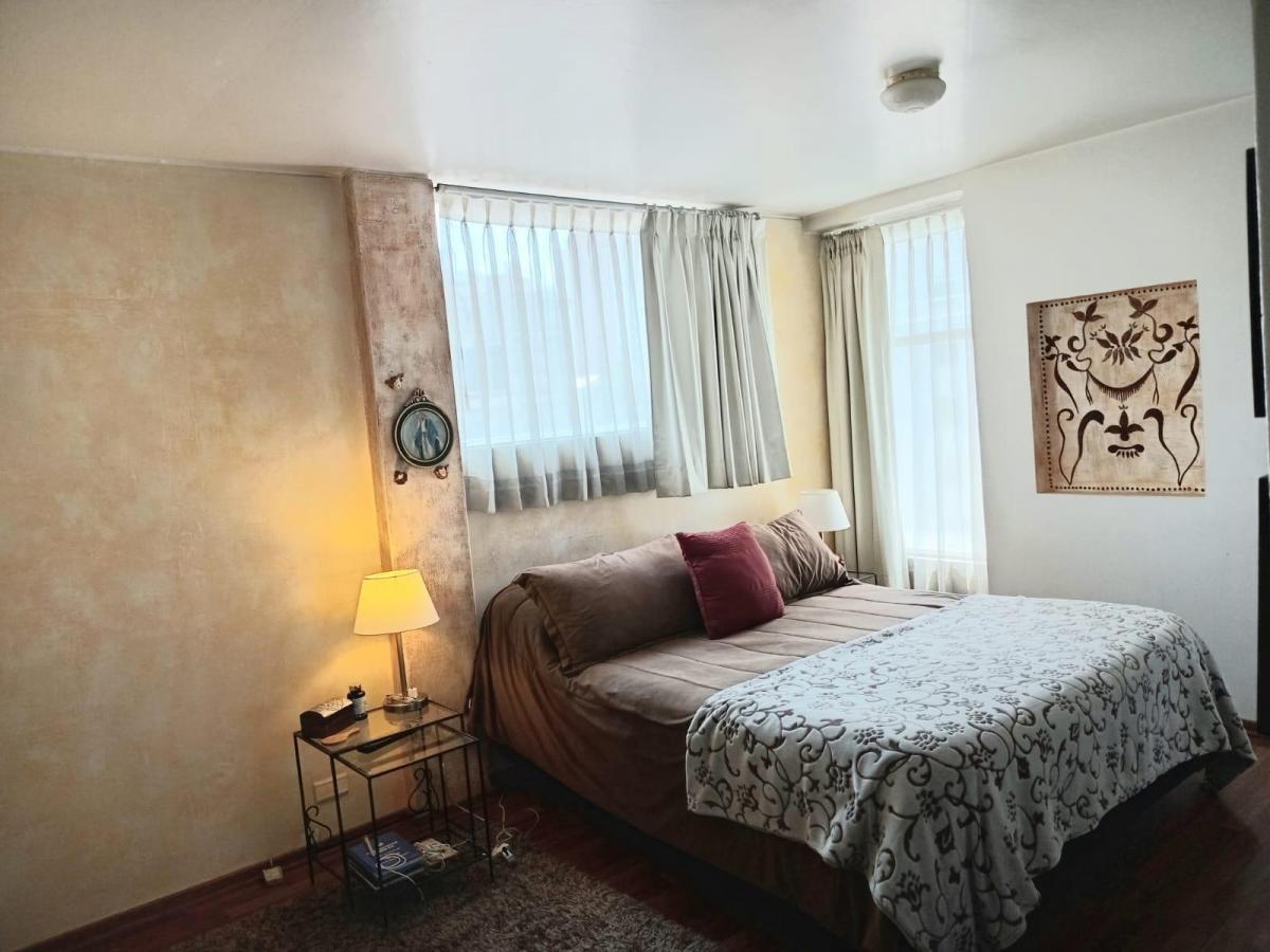 Departamento de Venta - Sector La Carolina — imagen 6