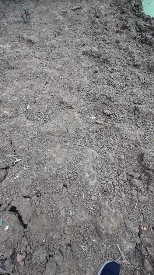 Venta de Hacienda Multiuso en Sector Sacachun, Parroquia Simón Bolívar A. F. Provincia de Santa Elena — imagen 4