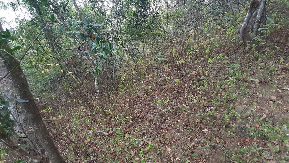 Venta de Hacienda Multiuso en Sector Sacachun, Parroquia Simón Bolívar A. F. Provincia de Santa Elena — imagen 2