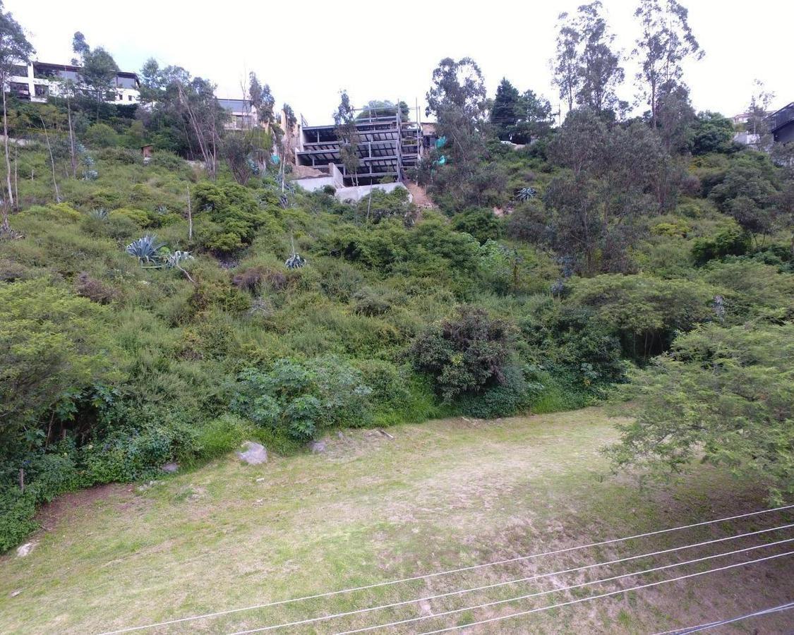Cumbaya Departamentos/casas de Venta Proyecto Entrega Mayo 2024 — imagen 8