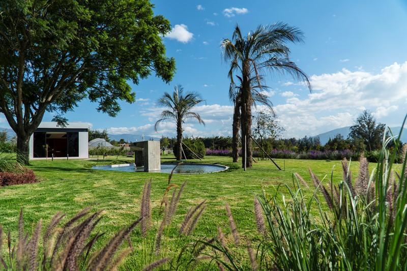 Venta Terrenos en Puembo — imagen 8
