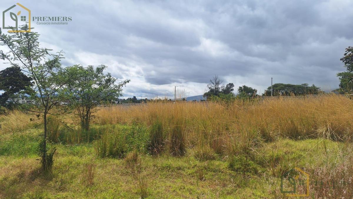 Venta Terreno Urbanizado Sector Tumbaco — imagen 9