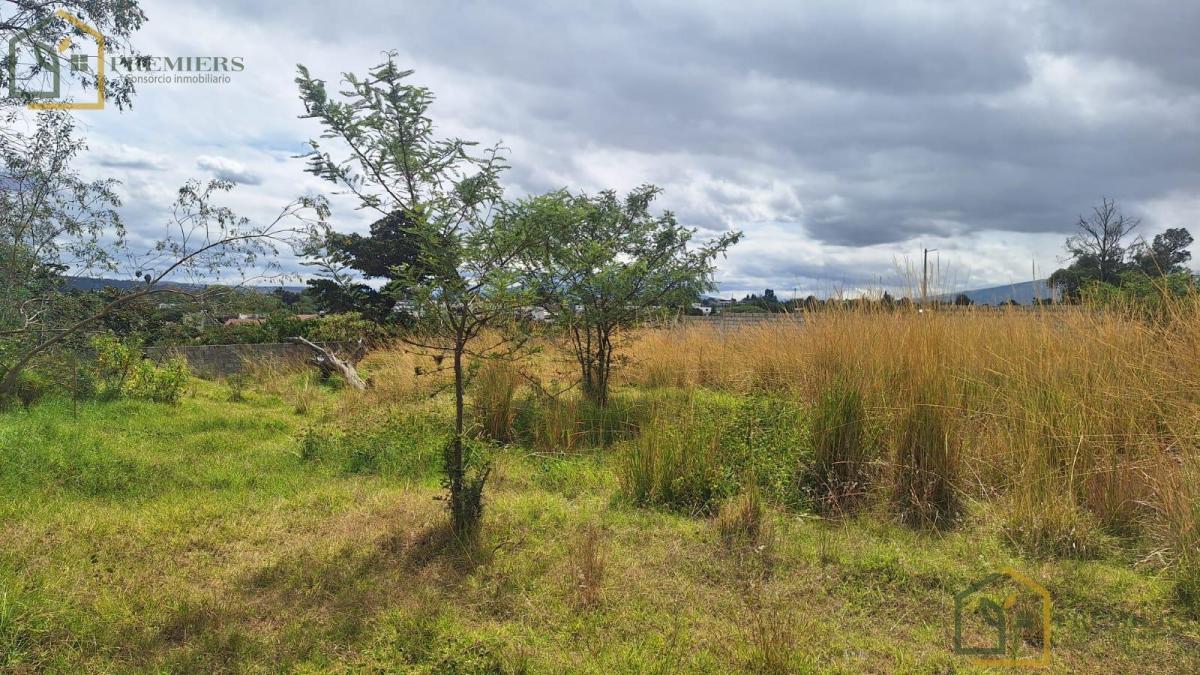 Venta Terreno Urbanizado Sector Tumbaco — imagen 8