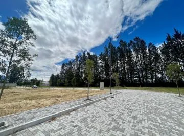 Mv - Puembo, en Venta Terreno 464.75 m², en Urbanización Privada — imagen 4