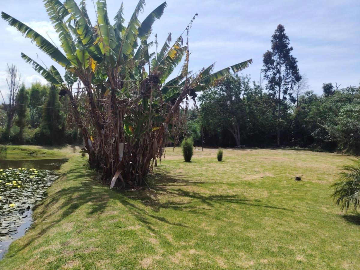 Terreno en Guayllabamba — imagen 8