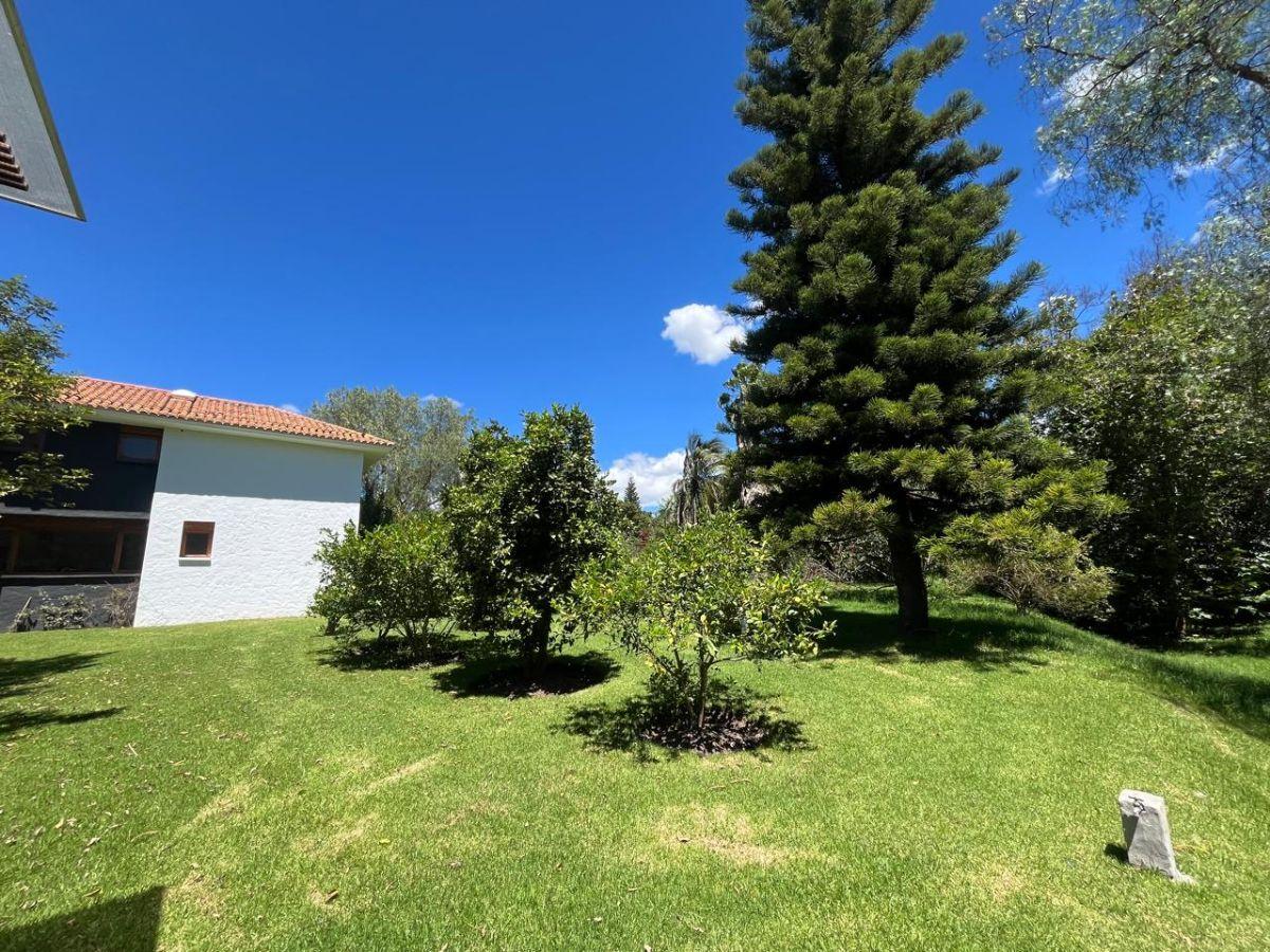 Casa de Lujo en Venta Cumbaya Urbanizacion Aaa — imagen 4
