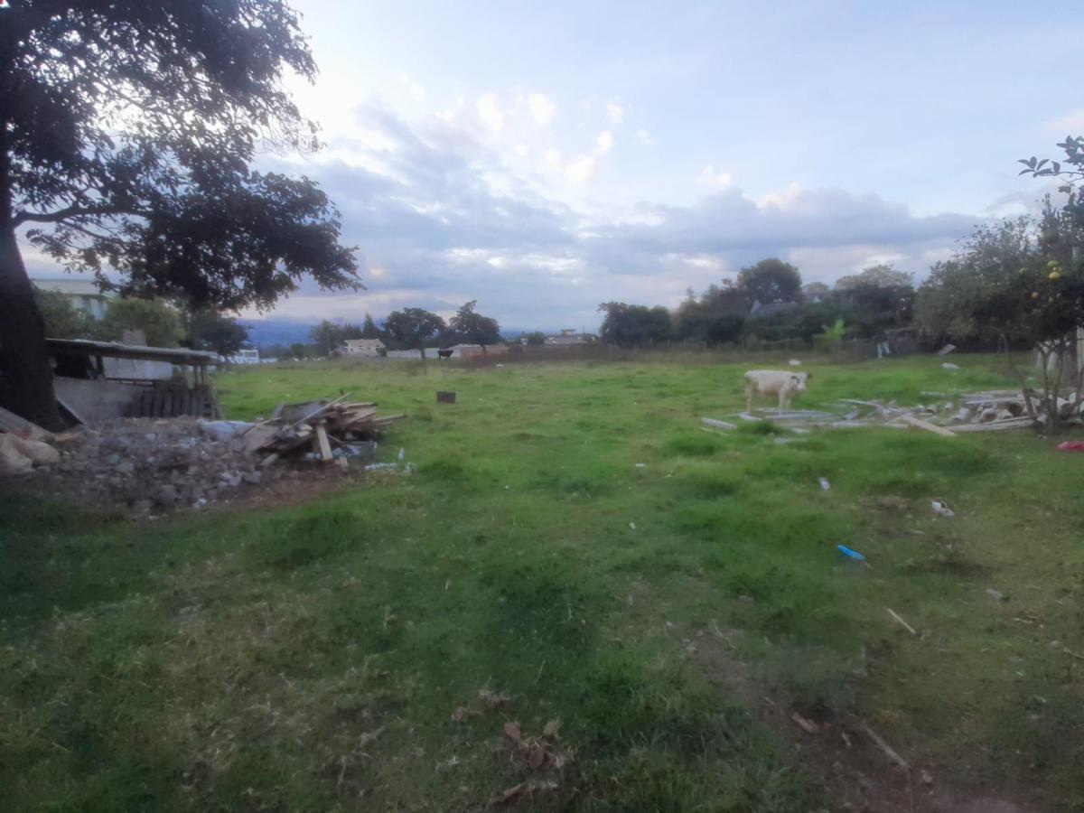 Terreno de 10.114 m² en La Morita Sector Ruta Viva y El Escalón de La Policia — imagen 8