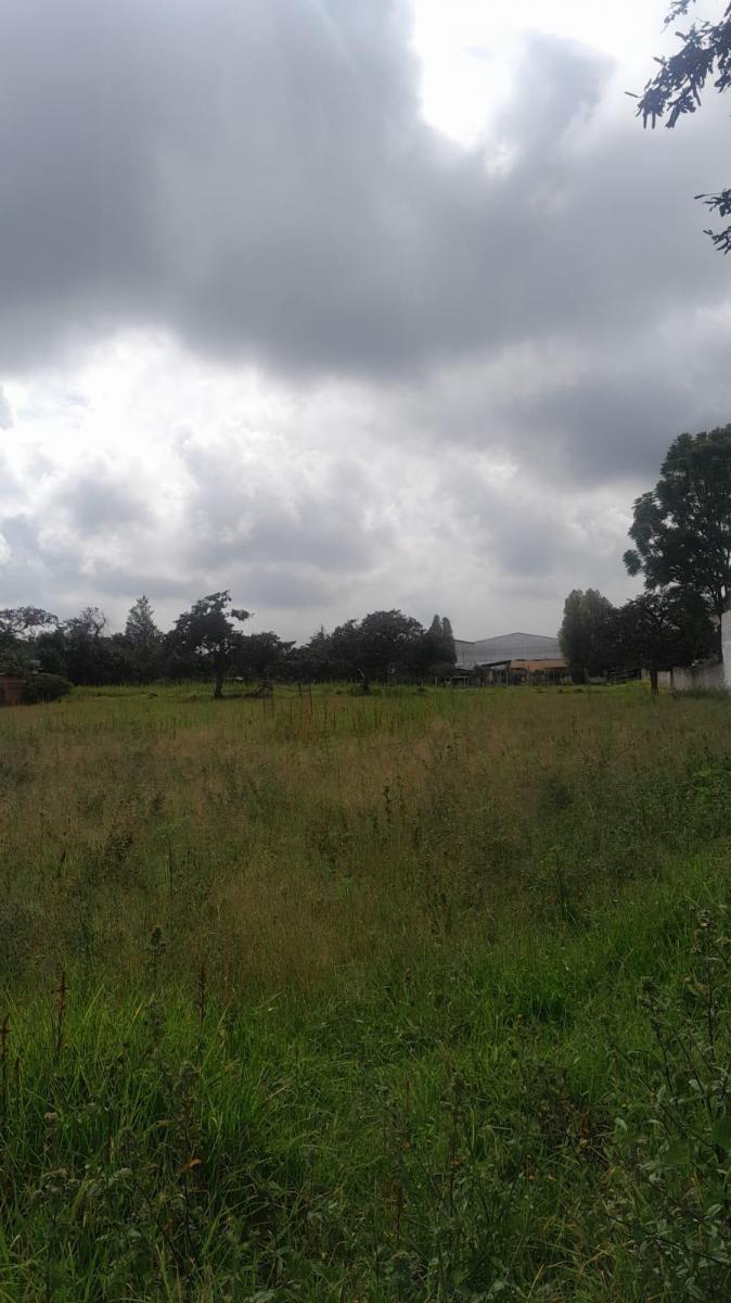 Terreno de 10.114 m² en La Morita Sector Ruta Viva y El Escalón de La Policia — imagen 7