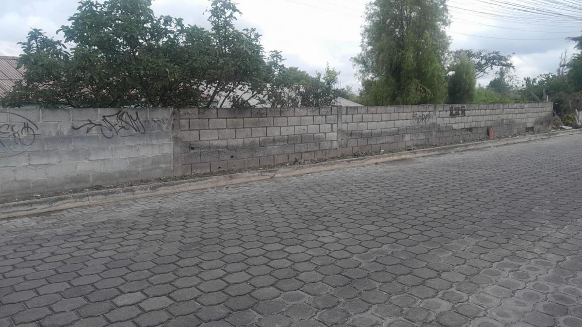 Terreno de 10.114 m² en La Morita Sector Ruta Viva y El Escalón de La Policia — imagen 6