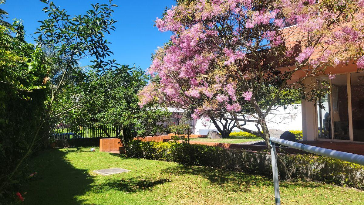 Altos del Valle - Cumbayá — imagen 10