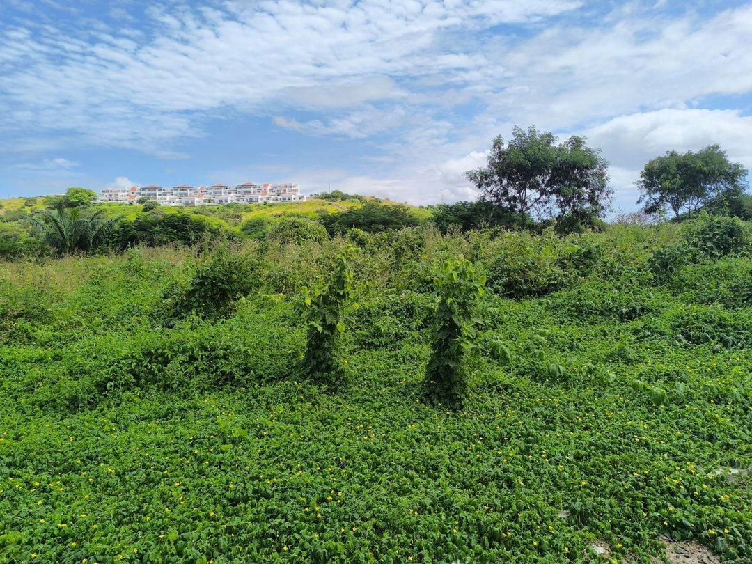 Terreno de Venta en Montecristi Golf Club Villas Am/v, Manabí — imagen 2