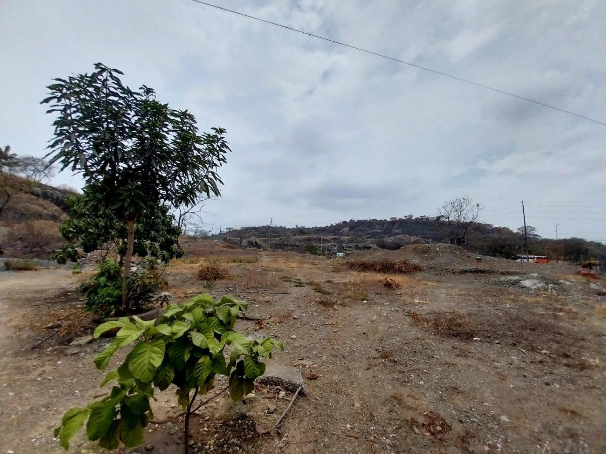 Se Vende Terreno de 30,407 m², Autopista Narcisa de Jesús y Francisco de Orellana, Guayas — imagen 8