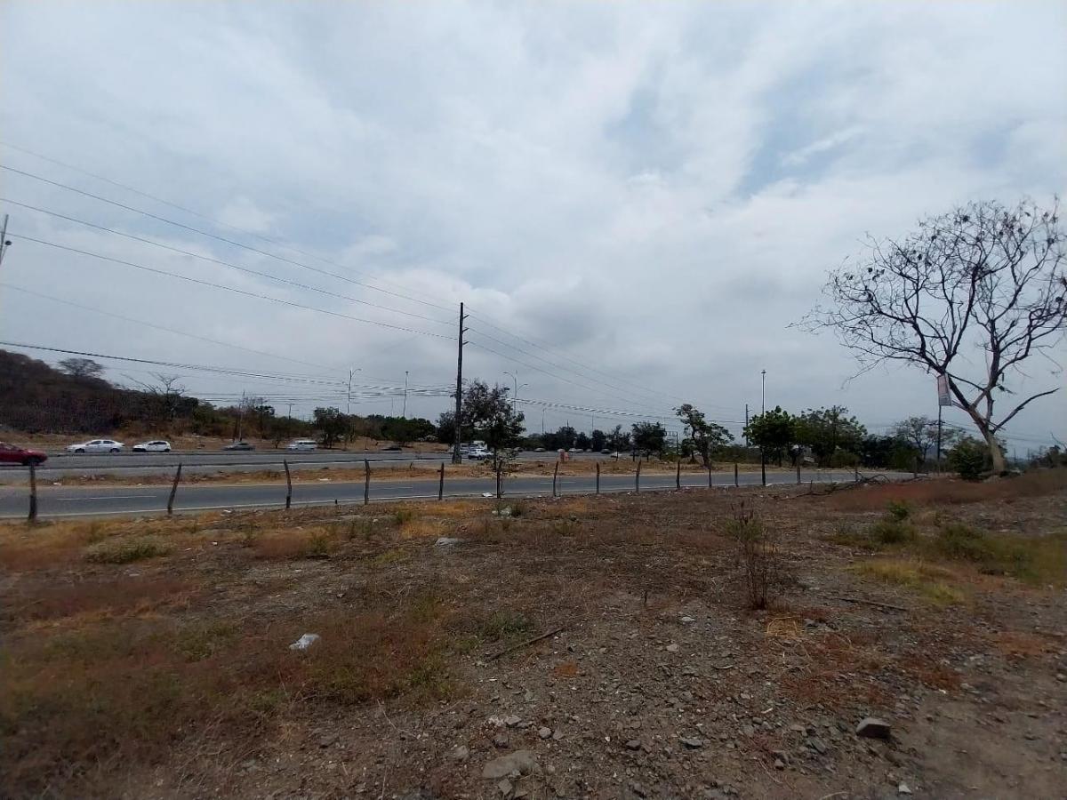 Se Vende Terreno de 30,407 m², Autopista Narcisa de Jesús y Francisco de Orellana, Guayas — imagen 7