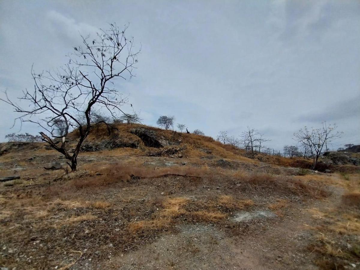 Se Vende Terreno de 30,407 m², Autopista Narcisa de Jesús y Francisco de Orellana, Guayas — imagen 6