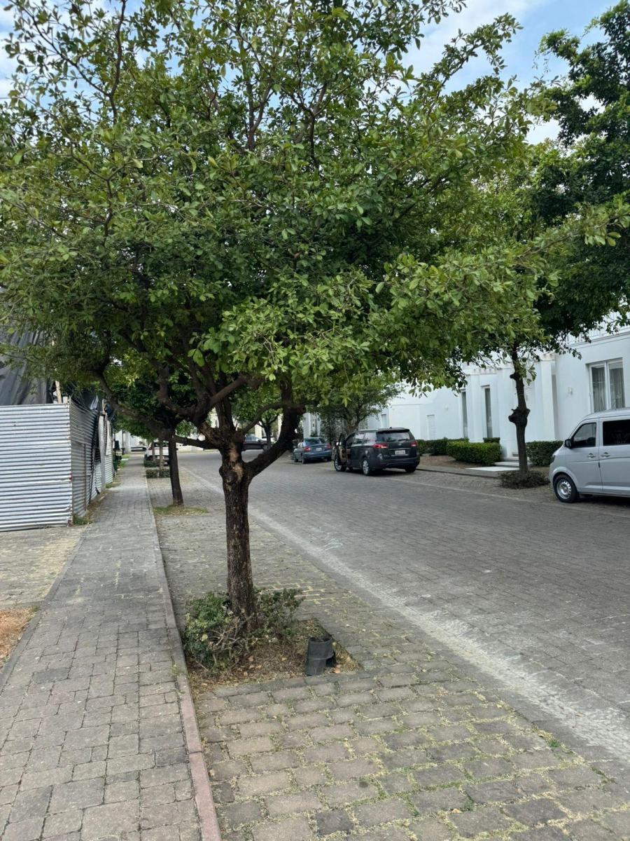 Plaza Lagos Venta de Terreno Al Lago Frente a un Islote, Guayas — imagen 9