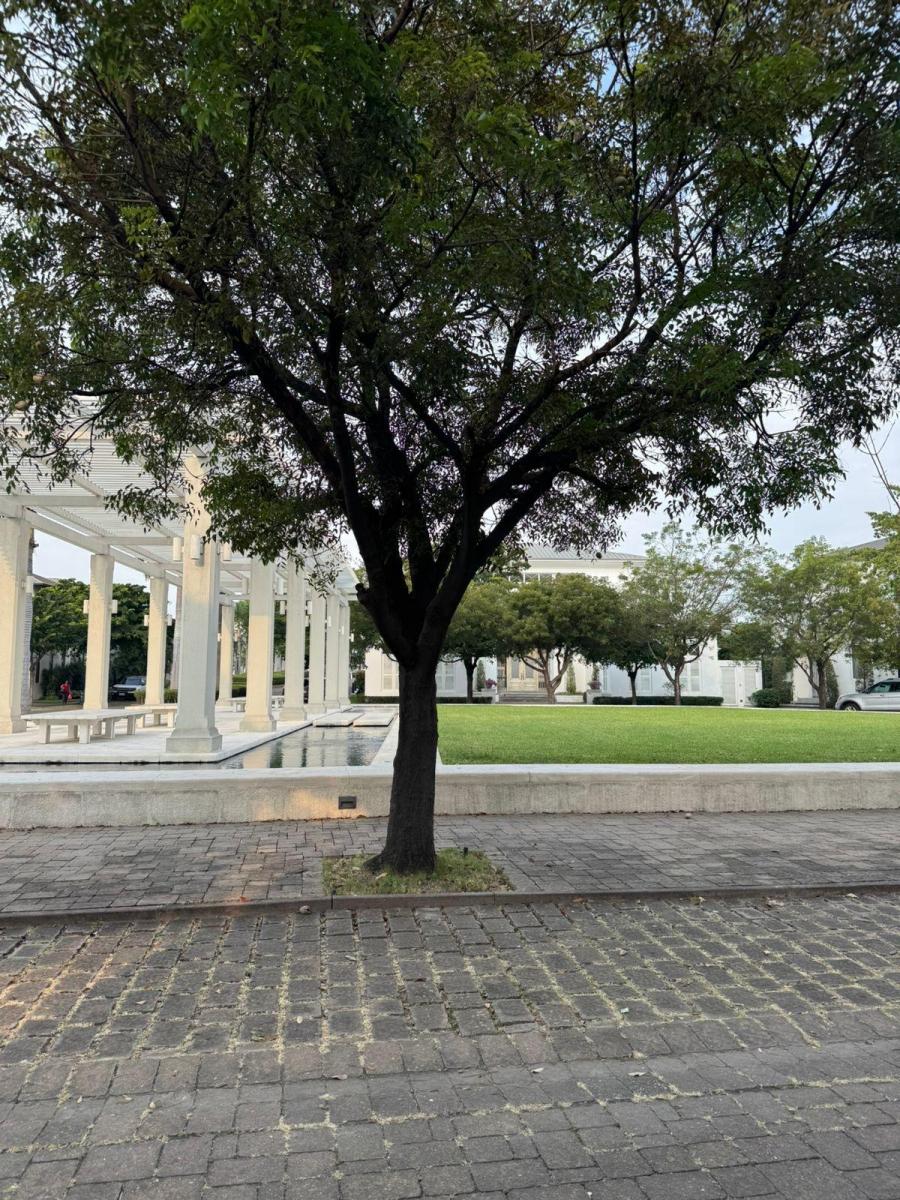 Plaza Lagos Venta de Terreno Al Lago Frente a un Islote, Guayas — imagen 6