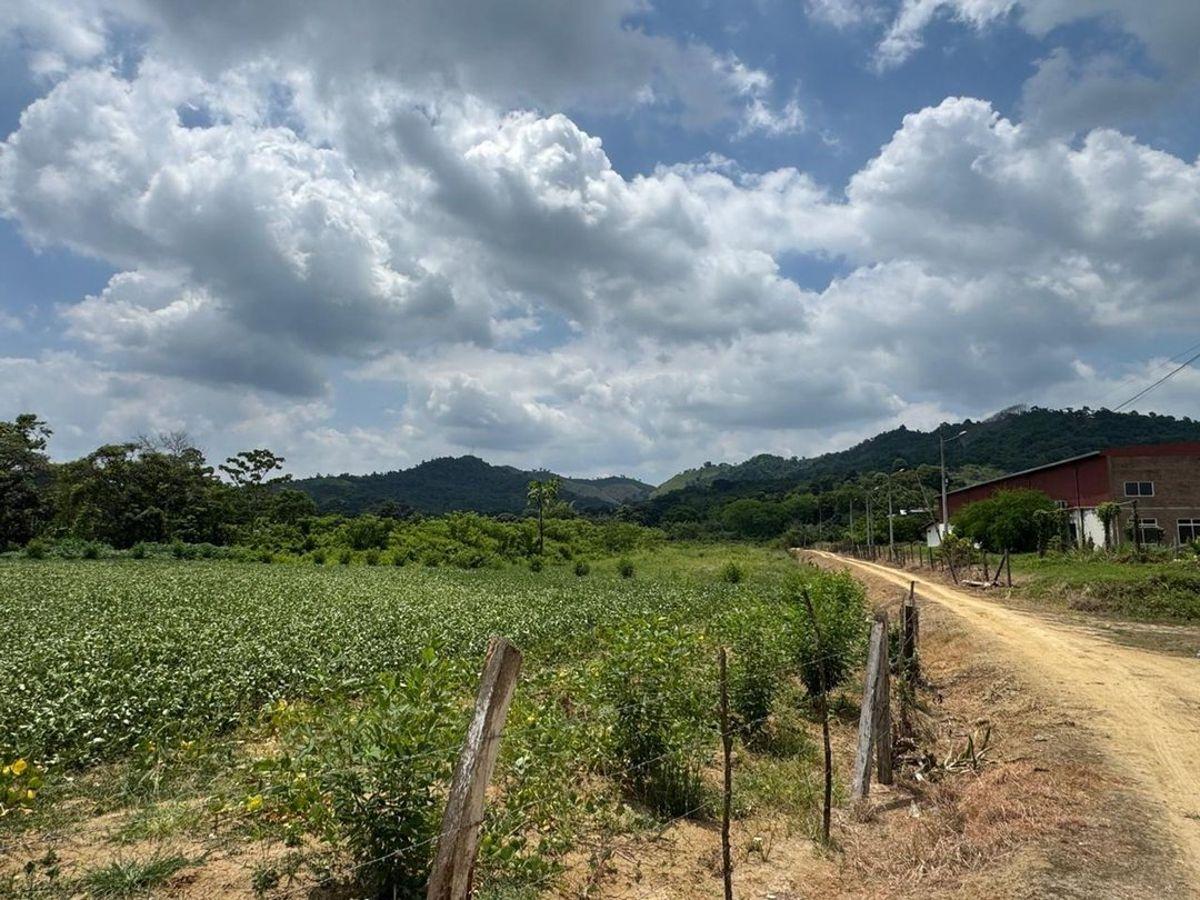 Terreno de Venta en Calceta Sitio Arrastradero, Manabí — imagen 10