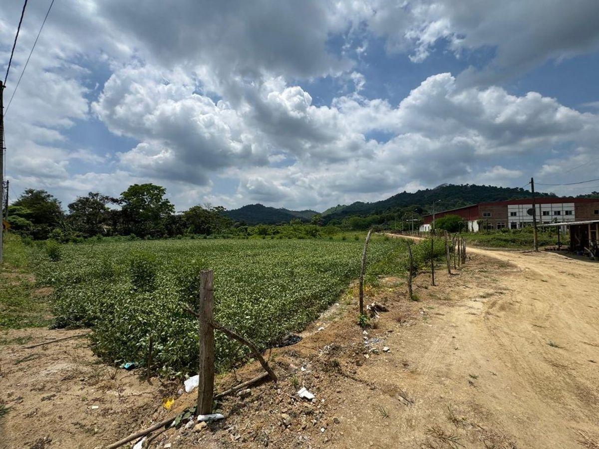 Terreno de Venta en Calceta Sitio Arrastradero, Manabí — imagen 9