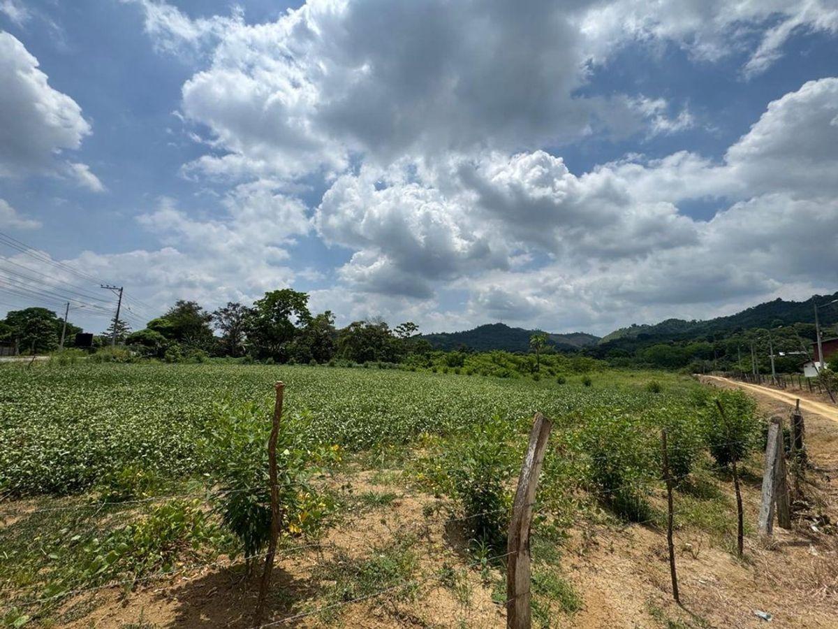 Terreno de Venta en Calceta Sitio Arrastradero, Manabí — imagen 8
