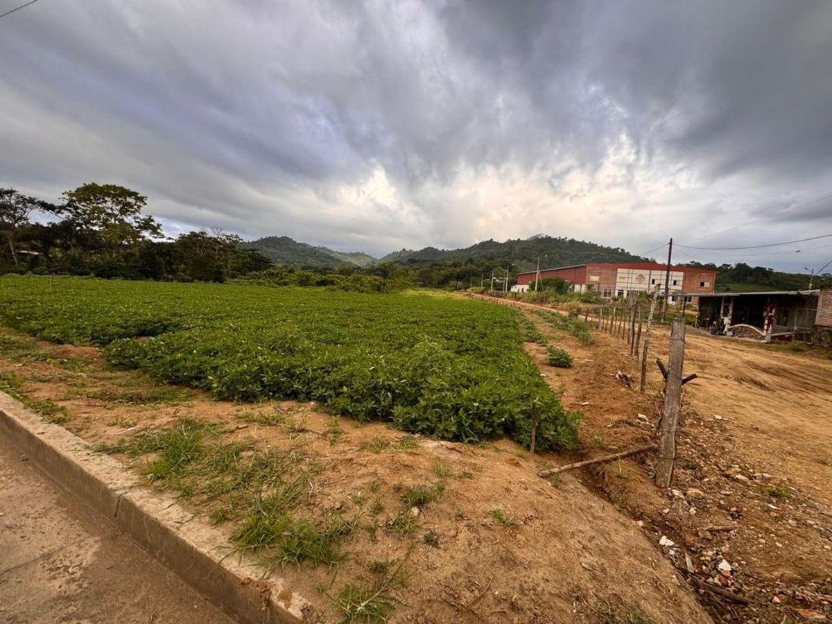 Terreno de Venta en Calceta Sitio Arrastradero, Manabí — imagen 7