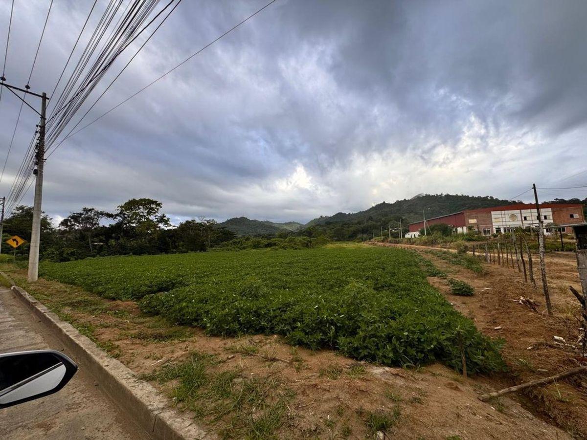 Terreno de Venta en Calceta Sitio Arrastradero, Manabí — imagen 6