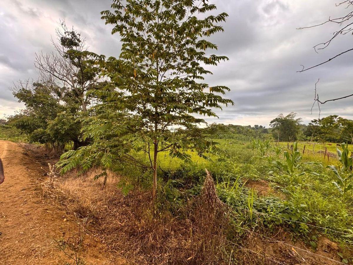 Terreno de Venta en Calceta Sitio Arrastradero, Manabí — imagen 2