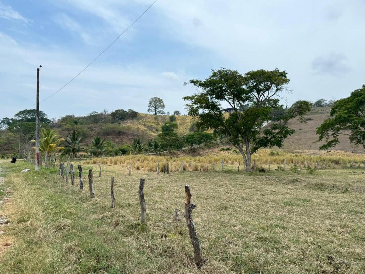 Terreno Agricola y Ganadería de Venta en Tosagua C/p, Manabí — imagen 9
