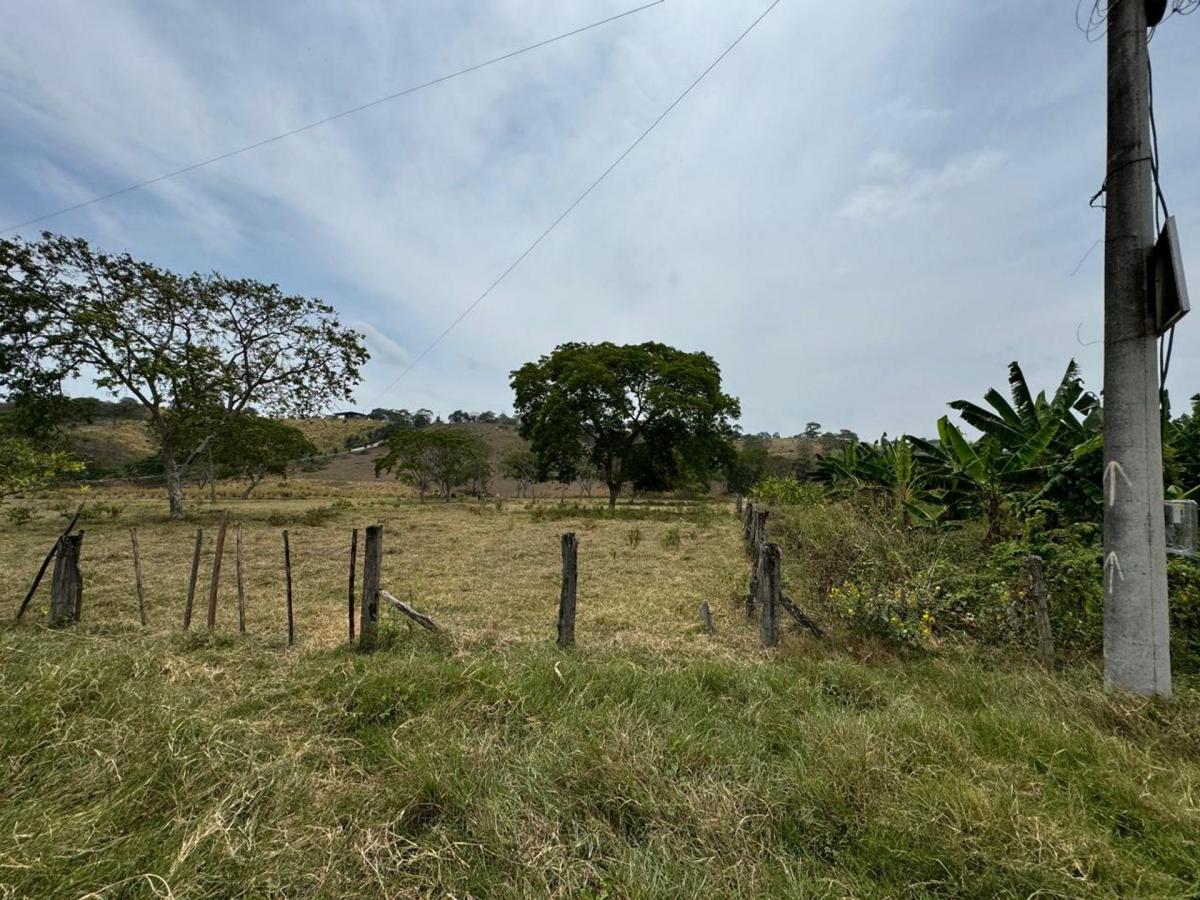 Terreno Agricola y Ganadería de Venta en Tosagua C/p, Manabí — imagen 8