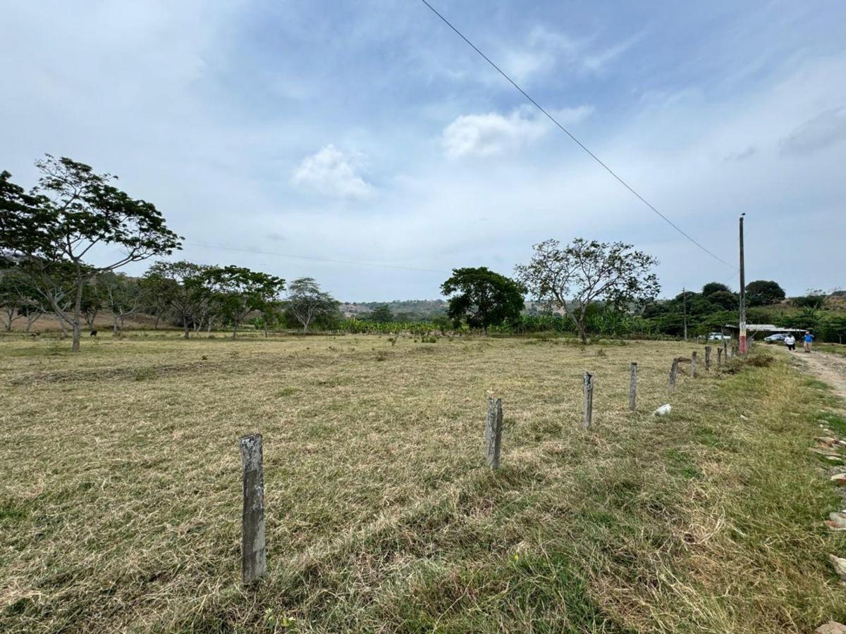 Terreno Agricola y Ganadería de Venta en Tosagua C/p, Manabí — imagen 7