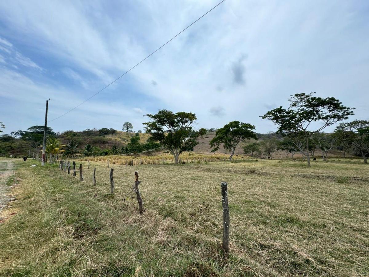 Terreno Agricola y Ganadería de Venta en Tosagua C/p, Manabí — imagen 6