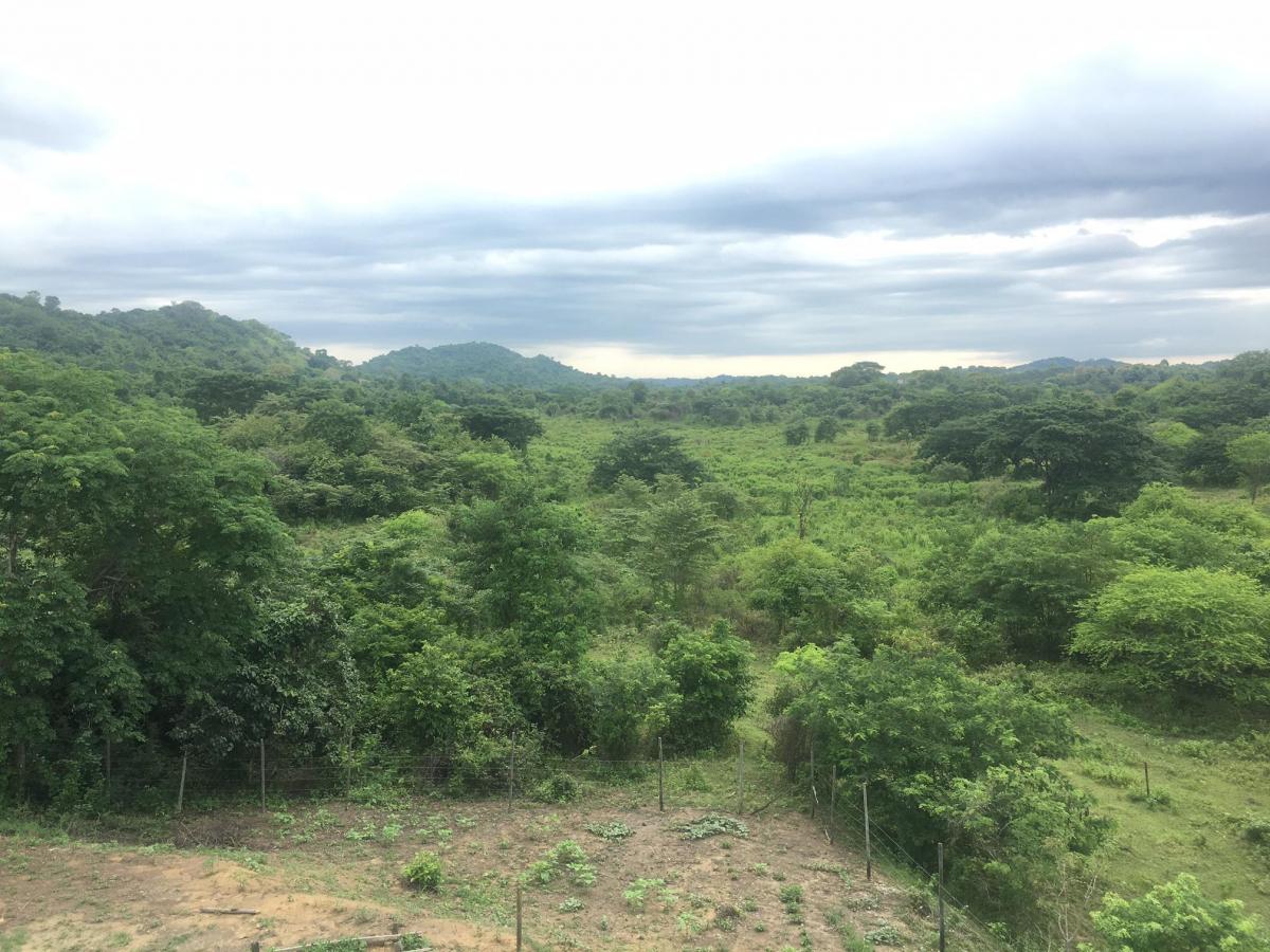 Vendo Terreno Para Proyecto Urbano en Sector Chongon Guayaquil, Guayas — imagen 10