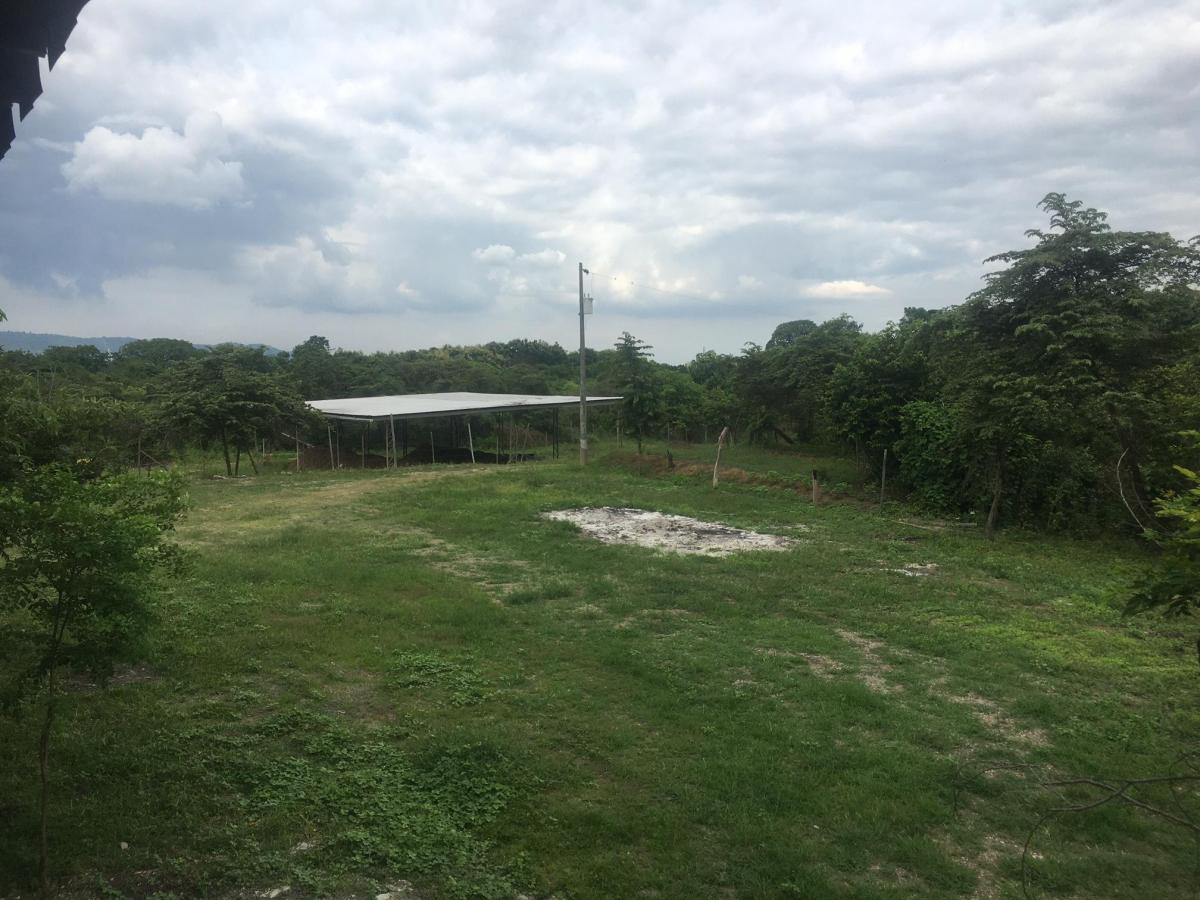 Vendo Terreno Para Proyecto Urbano en Sector Chongon Guayaquil, Guayas — imagen 7