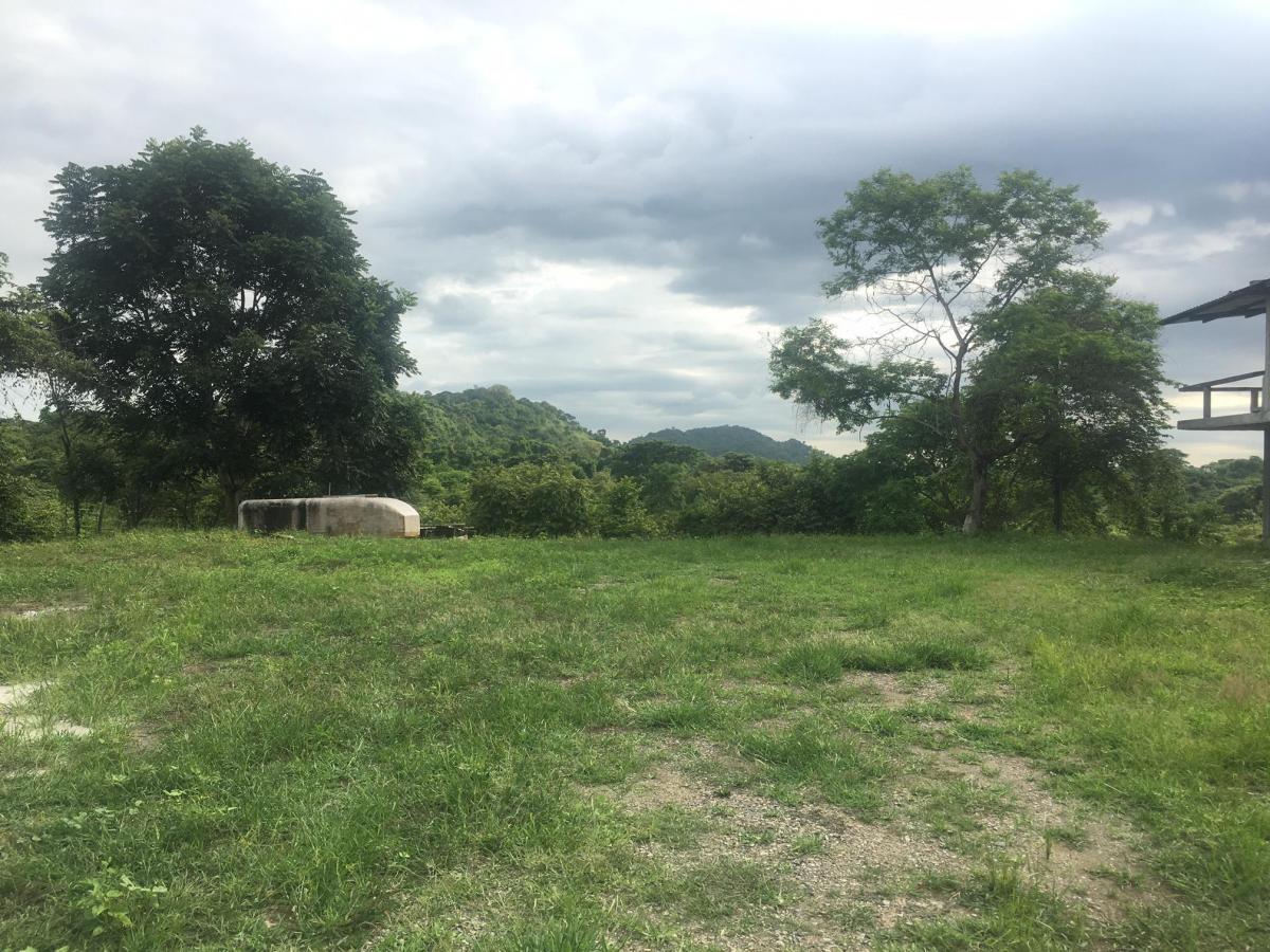 Vendo Terreno Para Proyecto Urbano en Sector Chongon Guayaquil, Guayas — imagen 6