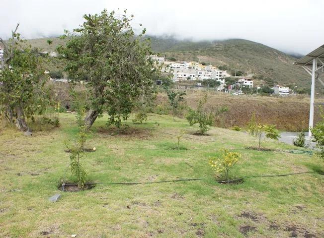 Venta - Terreno - Pomasqui - Norte - Quito — imagen 5