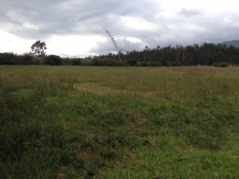 Venta de Terreno Sector Tababela — imagen 3