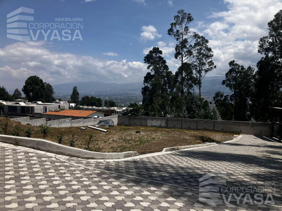 Cumbayá - San Juan, Hermosos Terrenos de Venta 465 m² — imagen 9