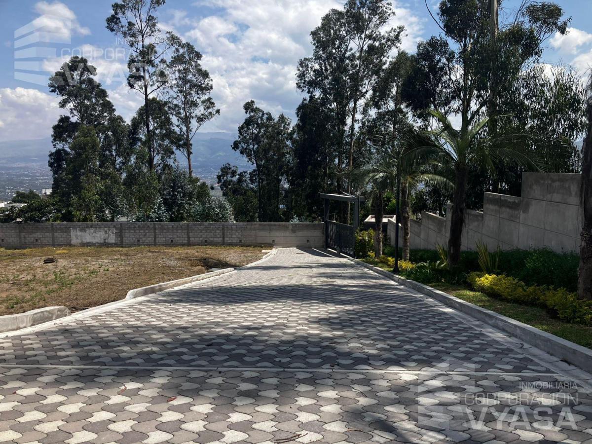 Cumbayá - San Juan, Hermosos Terrenos de Venta 465 m² — imagen 7