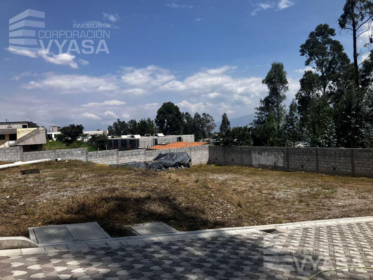 Cumbayá - San Juan, Hermosos Terrenos de Venta 465 m² — imagen 6